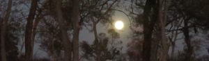 La pleine lune rayonnante en savane
